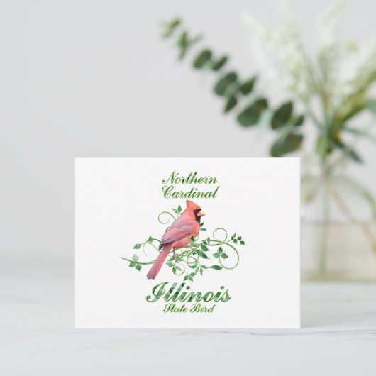 Carte Postale Cardinal Illinois State Bird (Debout devant)