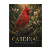 Cardinal Jardins de la forêt faune ANIMAL