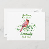 Carte Postale Cardinal Kentucky State Bird (Devant / Derrière)