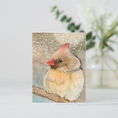 Carte Postale Cardinal Lady Winter (Debout devant)