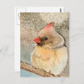 Carte Postale Cardinal Lady Winter (Devant / Derrière)