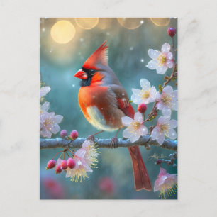 Carte Postale Cardinal mâle au clair de lune Cerisiers en fleurs