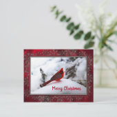 Carte Postale Cardinal Neige 6245 Cadre Noël (Debout devant)