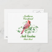 Carte Postale Cardinal North Carolina State Bird (Devant / Derrière)