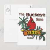 Carte Postale Cardinal Ohio Buckeye (Devant / Derrière)
