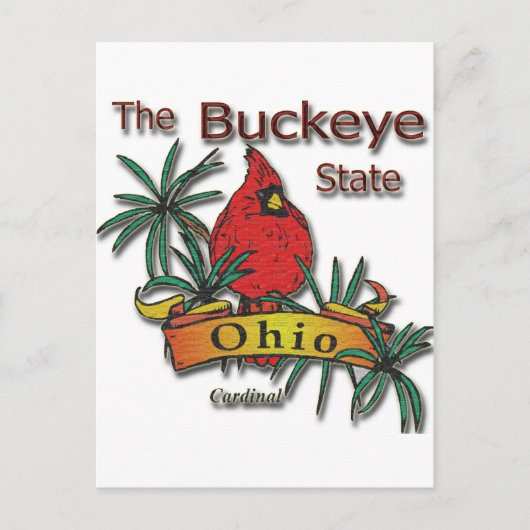 Carte Postale Cardinal Ohio Buckeye (Devant)