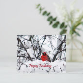 Carte Postale Cardinal Oiseau Rouge Neige Photo Anniversaire (Debout devant)