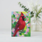 Carte Postale Cardinal Postcard (Debout devant)