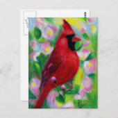 Carte Postale Cardinal Postcard (Devant / Derrière)