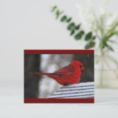 Carte Postale Cardinal Richelieu (Debout devant)