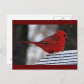 Carte Postale Cardinal Richelieu (Devant / Derrière)