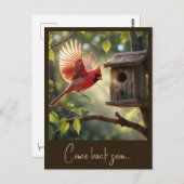 CARTE POSTALE " CARDINAL ROUGE " (Devant / Derrière)