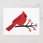 Carte Postale Cardinal rouge (Devant)