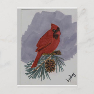 Carte Postale Cardinal rouge