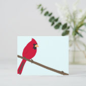 Carte Postale Cardinal rouge (Debout devant)