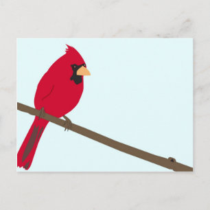 Carte Postale Cardinal rouge