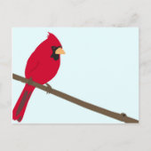Carte Postale Cardinal rouge (Devant)