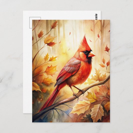 Carte Postale Cardinal Rouge à l'automne (Devant / Derrière)