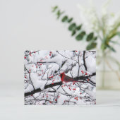 Carte Postale Cardinal Rouge Arbre à Neiges Photo Noël (Debout devant)