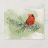 Carte Postale Cardinal Rouge Belle Aquarelle Rustique (Devant)