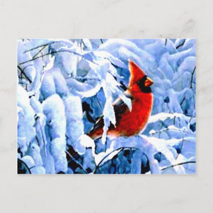 Carte Postale Cardinal Rouge dans la neige d'hiver