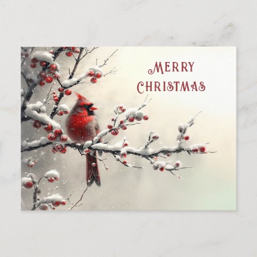 Carte Postale Cardinal Rouge de Noël Férié (Devant)