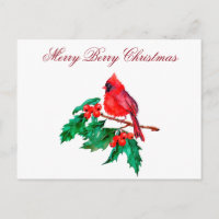Cardinal rouge de Noël sur une branche de baie de