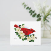 Carte Postale Cardinal rouge du Nord (Debout devant)