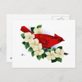 Carte Postale Cardinal rouge du Nord (Devant / Derrière)