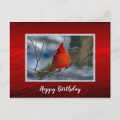 Carte Postale Cardinal Rouge Hiver Photo Anniversaire (Devant)