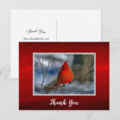 Carte Postale Cardinal Rouge Merci pour la photo d'hiver (Devant / Derrière)