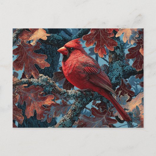 Carte Postale Cardinal rouge perché sur la branche (Devant)