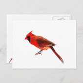 Carte Postale Cardinal(s) (Devant / Derrière)