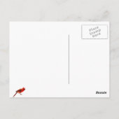 Carte Postale Cardinal(s) (Dos)