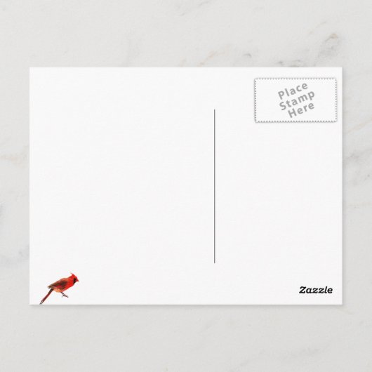 Carte Postale Cardinal(s) (Dos)