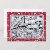 Carte Postale Cardinal Snow Tree Photo Noël (Devant / Derrière)