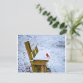 Carte Postale cardinal sur le banc (Debout devant)