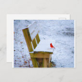 Carte Postale cardinal sur le banc (Devant / Derrière)