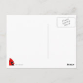 Carte Postale Cardinal sur une branche (Dos)