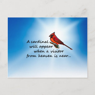 Carte Postale Cardinal, Visiteur du Ciel