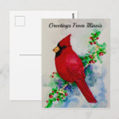 Carte postale cardinale de l'Illinois State Bird (Devant / Derrière)