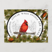 Carte postale Cardinale de Noël avec message perso (Dos)