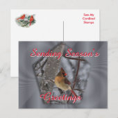 Carte postale cardinale féminine - personnalisez c (Devant / Derrière)