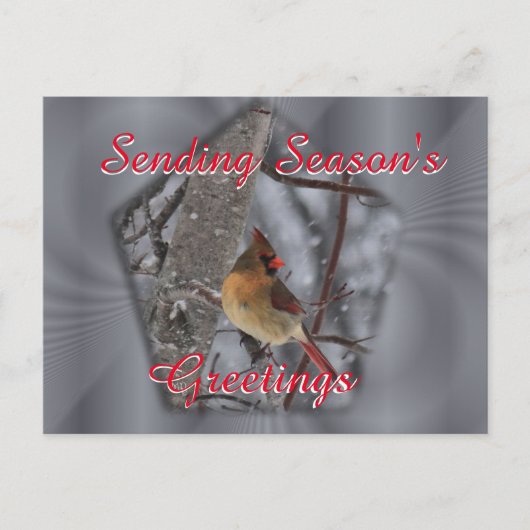 Carte postale cardinale féminine - personnalisez c (Devant)