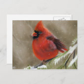 Carte postale cardinale rouge de Noël d'oiseau (Devant / Derrière)