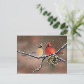 Carte Postale CARDINALS & NEIGE par SHARON SHARPE (Debout devant)