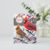 Carte Postale Cardinaux de Noël (Debout devant)