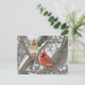 Carte Postale Cardinaux du Nord Salutations d'anniversaire (Debout devant)