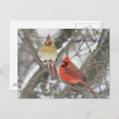 Carte Postale Cardinaux du Nord Salutations d'anniversaire (Devant / Derrière)