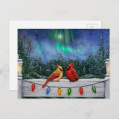 Carte Postale Cardinaux et lumières de Noël Neige d'hiver (Devant / Derrière)